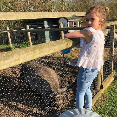 Willow Court Farm Studio East & Petting Farm, 8 Mins To Legoland & Windsor, 15 Mins To Lapland Uk Eksteriør billede