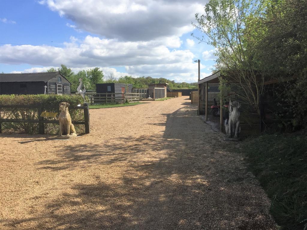 Willow Court Farm Studio East & Petting Farm, 8 Mins To Legoland & Windsor, 15 Mins To Lapland Uk Eksteriør billede