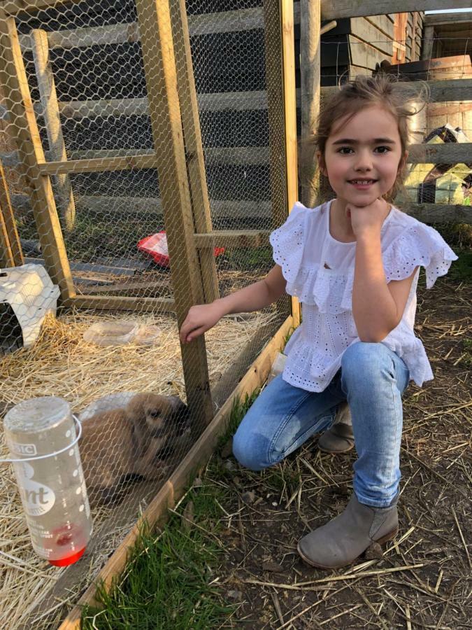 Willow Court Farm Studio East & Petting Farm, 8 Mins To Legoland & Windsor, 15 Mins To Lapland Uk Eksteriør billede
