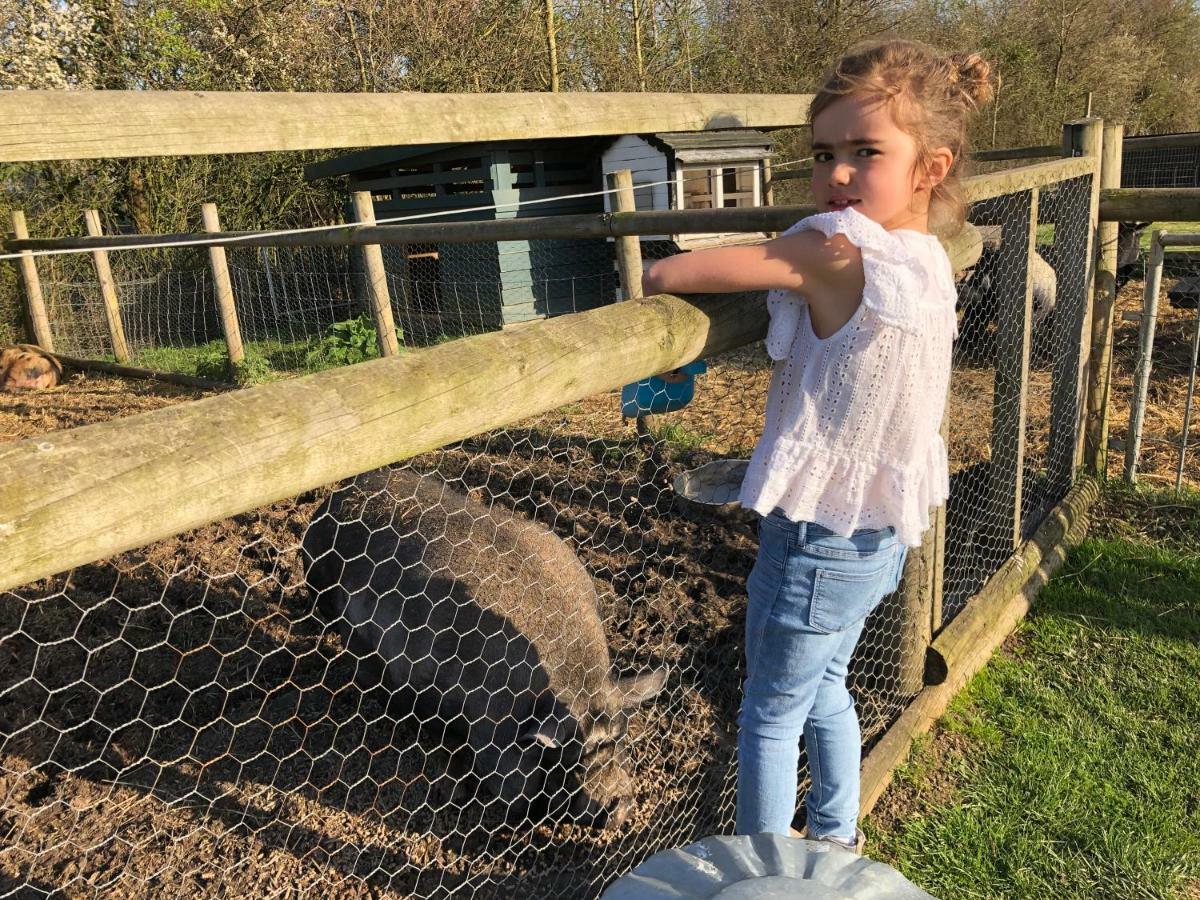 Willow Court Farm Studio East & Petting Farm, 8 Mins To Legoland & Windsor, 15 Mins To Lapland Uk Eksteriør billede