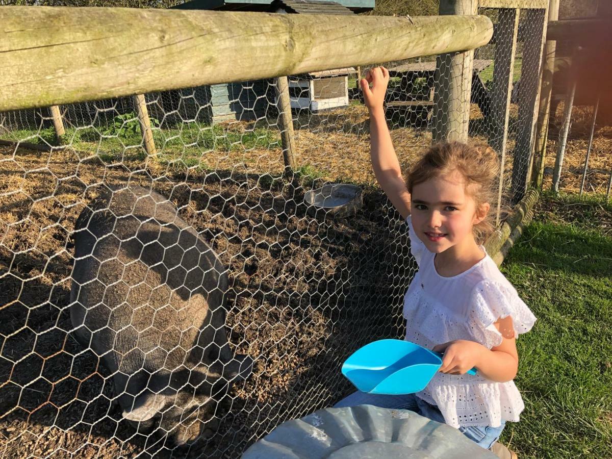 Willow Court Farm Studio East & Petting Farm, 8 Mins To Legoland & Windsor, 15 Mins To Lapland Uk Eksteriør billede